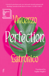 Perfection book cover