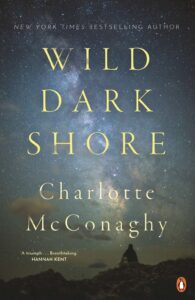 Wild Dark Shore book cover